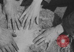 Image of sheep shearing United States USA, 1926, second 22 stock footage video 65675080472
