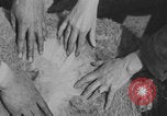Image of sheep shearing United States USA, 1926, second 23 stock footage video 65675080472