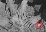 Image of sheep shearing United States USA, 1926, second 26 stock footage video 65675080472