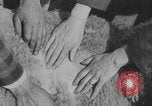 Image of sheep shearing United States USA, 1926, second 28 stock footage video 65675080472