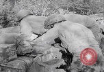 Image of Merode muddy roads Merode Germany, 1944, second 22 stock footage video 65675080477
