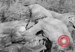 Image of Merode muddy roads Merode Germany, 1944, second 23 stock footage video 65675080477