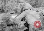 Image of Merode muddy roads Merode Germany, 1944, second 27 stock footage video 65675080477