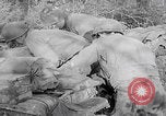 Image of Merode muddy roads Merode Germany, 1944, second 29 stock footage video 65675080477