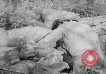 Image of Merode muddy roads Merode Germany, 1944, second 30 stock footage video 65675080477