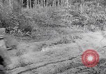Image of Merode muddy roads Merode Germany, 1944, second 31 stock footage video 65675080477
