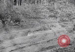 Image of Merode muddy roads Merode Germany, 1944, second 40 stock footage video 65675080477