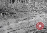 Image of Merode muddy roads Merode Germany, 1944, second 41 stock footage video 65675080477