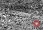 Image of mud in WW2 in Merode Germany Merode Germany, 1944, second 36 stock footage video 65675080478