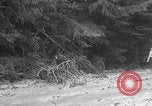 Image of US soldiers marching Merode Germany, 1944, second 3 stock footage video 65675080479