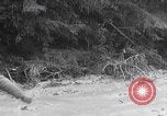 Image of US soldiers marching Merode Germany, 1944, second 18 stock footage video 65675080479