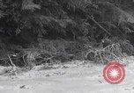 Image of US soldiers marching Merode Germany, 1944, second 19 stock footage video 65675080479