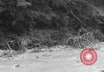 Image of US soldiers marching Merode Germany, 1944, second 20 stock footage video 65675080479