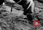 Image of US soldiers marching Merode Germany, 1944, second 32 stock footage video 65675080479