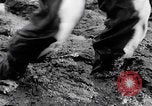 Image of US soldiers marching Merode Germany, 1944, second 33 stock footage video 65675080479