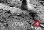 Image of US soldiers marching Merode Germany, 1944, second 37 stock footage video 65675080479