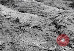 Image of US soldiers marching Merode Germany, 1944, second 39 stock footage video 65675080479
