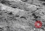 Image of US soldiers marching Merode Germany, 1944, second 40 stock footage video 65675080479