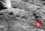 Image of US soldiers marching Merode Germany, 1944, second 41 stock footage video 65675080479