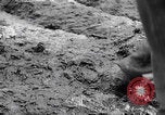 Image of US soldiers marching Merode Germany, 1944, second 43 stock footage video 65675080479