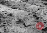 Image of US soldiers marching Merode Germany, 1944, second 49 stock footage video 65675080479