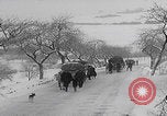 Image of German refugees fleeing frontline Aachen Germany, 1945, second 11 stock footage video 65675080483