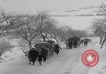 Image of German refugees fleeing frontline Aachen Germany, 1945, second 16 stock footage video 65675080483