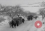 Image of German refugees fleeing frontline Aachen Germany, 1945, second 17 stock footage video 65675080483
