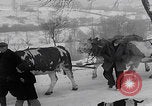 Image of German refugees fleeing frontline Aachen Germany, 1945, second 30 stock footage video 65675080483