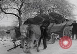 Image of German refugees fleeing frontline Aachen Germany, 1945, second 45 stock footage video 65675080483