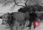 Image of German refugees fleeing frontline Aachen Germany, 1945, second 47 stock footage video 65675080483