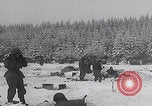 Image of 101st Airborne soldier foxholes Bastogne Belgium, 1945, second 7 stock footage video 65675080484