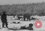 Image of 101st Airborne soldier foxholes Bastogne Belgium, 1945, second 17 stock footage video 65675080484