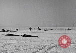 Image of German Go-242 landing Germany, 1941, second 61 stock footage video 65675080507