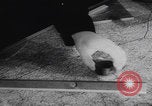 Image of Junkers Ju 52 radio directional equipment Germany, 1937, second 44 stock footage video 65675080513