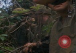 Image of Injured soldier evacuated Vietnam War Vietnam, 1968, second 21 stock footage video 65675080523