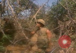 Image of soldiers in jungle Vietnam War Vietnam, 1968, second 16 stock footage video 65675080524