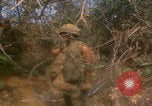 Image of soldiers in jungle Vietnam War Vietnam, 1968, second 19 stock footage video 65675080524