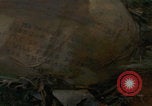 Image of soldiers in jungle Vietnam War Vietnam, 1968, second 51 stock footage video 65675080524