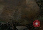 Image of soldiers in jungle Vietnam War Vietnam, 1968, second 53 stock footage video 65675080524