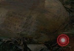 Image of soldiers in jungle Vietnam War Vietnam, 1968, second 54 stock footage video 65675080524