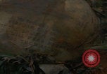 Image of soldiers in jungle Vietnam War Vietnam, 1968, second 55 stock footage video 65675080524