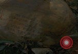 Image of soldiers in jungle Vietnam War Vietnam, 1968, second 58 stock footage video 65675080524