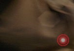 Image of US soldiers running Vietnam, 1968, second 21 stock footage video 65675080525
