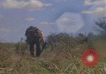 Image of US soldiers running Vietnam, 1968, second 44 stock footage video 65675080525