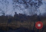 Image of US soldiers running Vietnam, 1968, second 62 stock footage video 65675080525