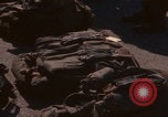 Image of US Marines Nevada training Nevada United States USA, 1968, second 46 stock footage video 65675080528
