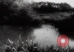Image of Katyn massacre mass grave site Soviet Union, 1943, second 11 stock footage video 65675080536