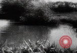 Image of Katyn massacre mass grave site Soviet Union, 1943, second 12 stock footage video 65675080536