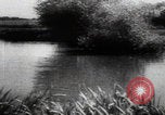 Image of Katyn massacre mass grave site Soviet Union, 1943, second 13 stock footage video 65675080536